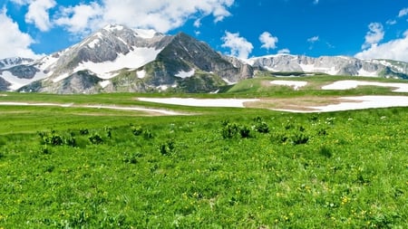 Beautiful Nature - nature, blue, snow, beautiful, green, mountains, pastures, grass