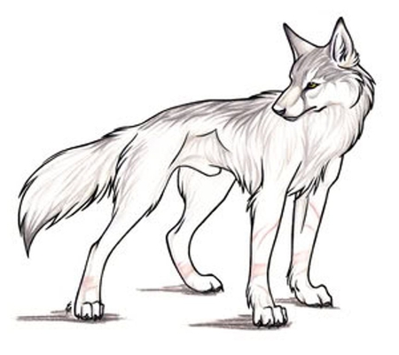 White one - river, wolf, rock, clan, wolves