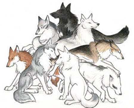 puppy play - river, rock, pack, clan, wolves