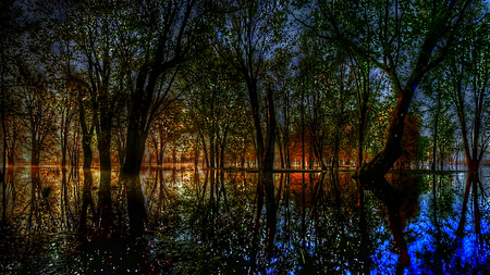 After the Rainfall - toned, receding, trees, dark, beautiful, night, water, flood