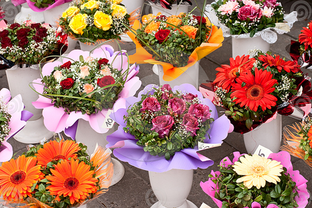 flower arrangement - flowers, lovely, blooms, nature, colorful