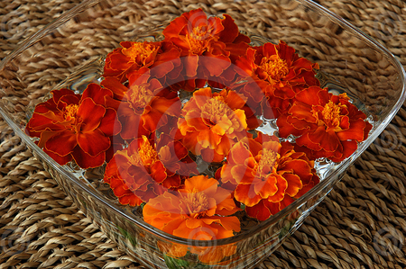 red flowers - red, bowl, flowers, lovely, blooms, nature