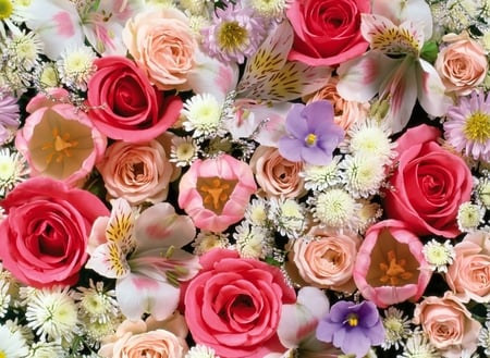 All these flowers for my friends - love, beauty, tulips, bouquet, rose, wonderful, friendship, flowers, colors, friends