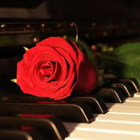 Romantic sonata