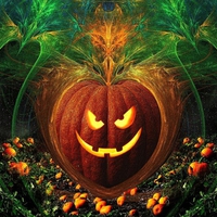 Pumpkin Fantasy