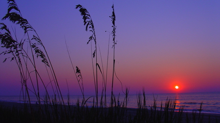 Carolina Sunset - sunset, ocean, beach, sky