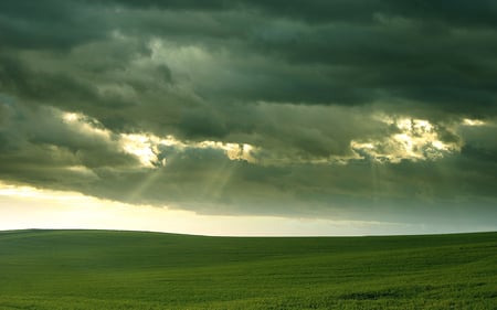 Field of Sky - clouds, field, grass, sky