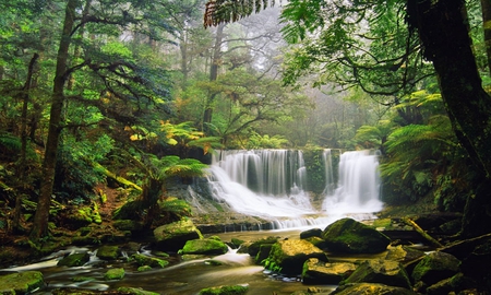 the falls - trees, water, green, land down under, park