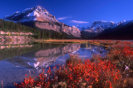 Majestic Reflection - lake, mountain, trees, reflection