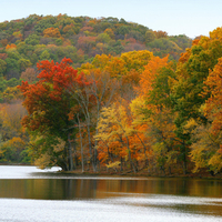 Autumn Lake