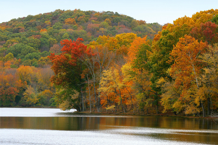 Autumn Lake - lake, hills, forest, autumn