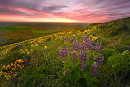 Perfect Spot - mountains, sky, field, flowers