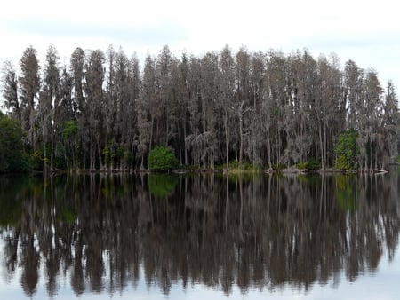 Lake Reflection - fall, lake, trees, reflection