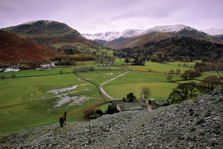 Going Home - grass, valley, mountains, horse