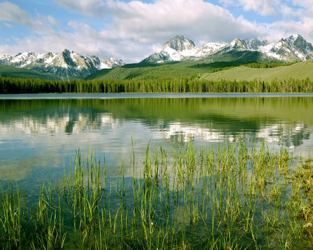 Mountain Lake - lake, forest, mountain, snow