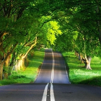 Green-Long-road