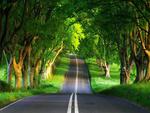 Green-Long-road