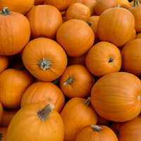 PUMPKINS