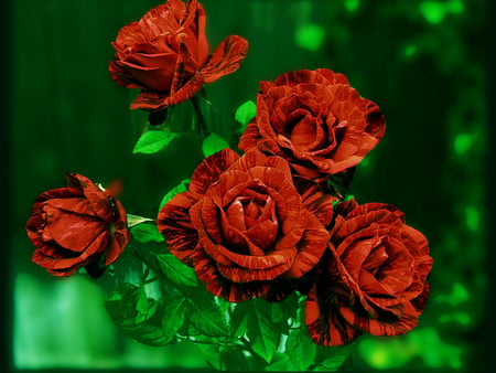 Red Roses - roses, red, green, rose, flower, emerald