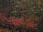 autumn in fairfield, maine