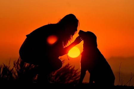 Friends In Sunset - woman, silhouette, sun, dog, sunset, friendship