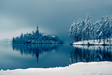 winter at the lake - white, reflection, snow, winter, fog, water