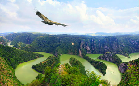 to be free - nature, sky, scenic, landscape, clouds, photography, green, bird