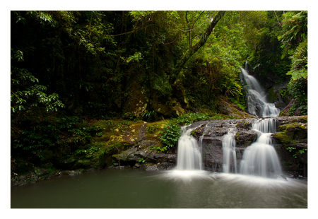 gravity - nature, waterfalls, forest, trees