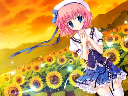 Sunflower - mitha, anime, anime girl, scenery, girl, landscape, cool, himezono risa, sunset, sunflower, cute