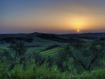 Tuscan Sunset