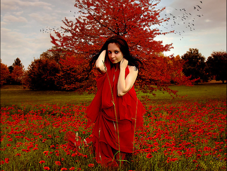 Love Fantasy - abstract, fantasy, poppies, girl, field, love