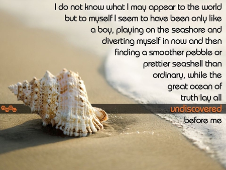 Undiscovered World - beach, seashell, water, shell, sea, sand