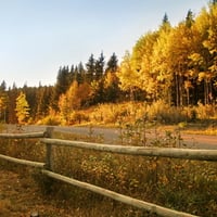 Autumn Landscape