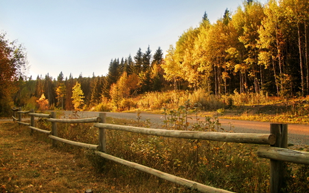 Autumn Landscape - nature, autumn, landscape, forest, rust