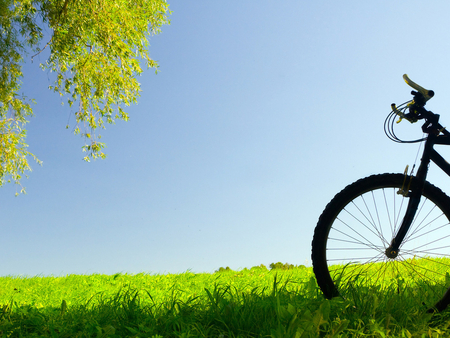 Bycicle - field, grass, bycicle, bature