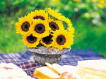 Sunflower bouquet