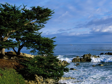 Landscape - landscape, nature, tree, sky