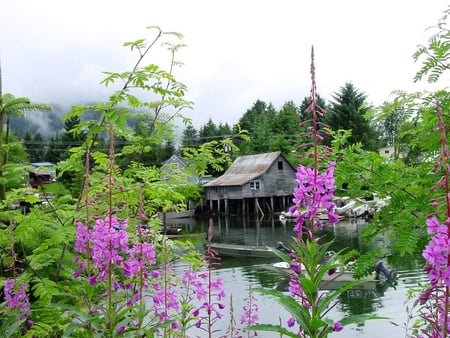 Home on the water - flowers, river, alaska, forest