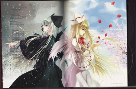 touhou - girls, ice, petals, vciel, flowers, black