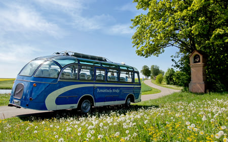 Bus - bus, verde, azul, campo