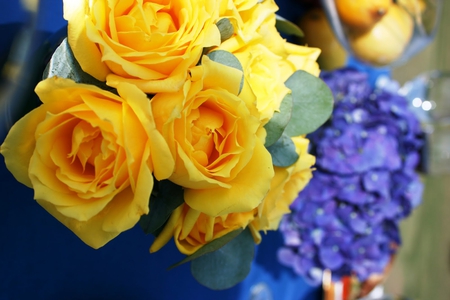 Friendship SunShine ~♥~ - roses, blue, forever, beautiful, fashion, sunshine, friendship, entertainment, light, contrast, bright yellow, flowers, wonderful, bright, centerpiece