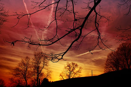 onsets of evening - red, nights, orange, trees, nature