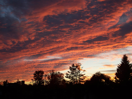 sailors delight - red, sky, clouds, dark, firely, trees