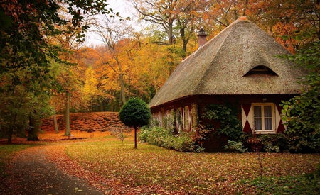 Autumn - nature, autumn, house, trees