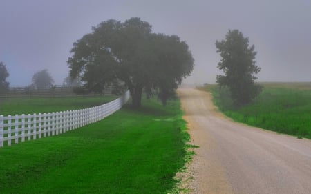 ALONG THE MISTY ROAD - mists, trees, nature, fences, landscapes