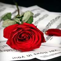 Rose and love music