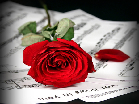 Rose and love music