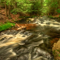 Forest-HDR