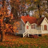 Autumn-HDR