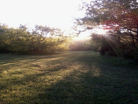 cool morning - morning, field, cool, sun